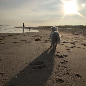 Meet your Posher, Esme